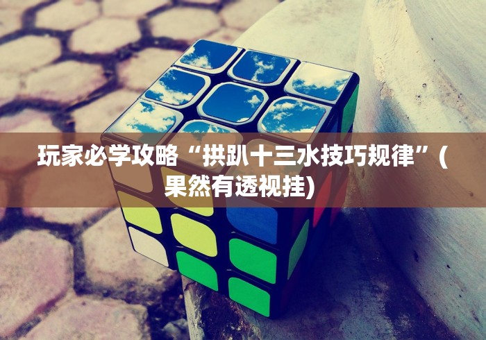 玩家必学攻略“拱趴十三水技巧规律	”(果然有透视挂) 