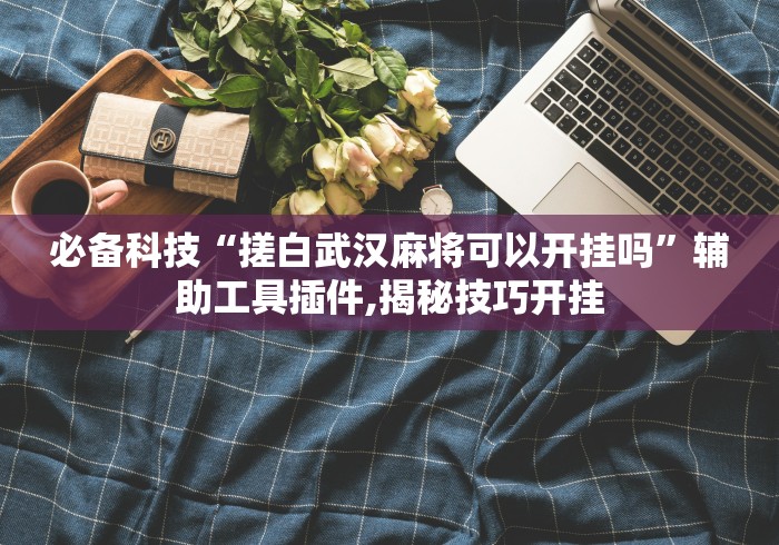 必备科技“搓白武汉麻将可以开挂吗	”辅助工具插件,揭秘技巧开挂
