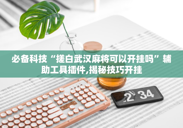必备科技“搓白武汉麻将可以开挂吗”辅助工具插件,揭秘技巧开挂
