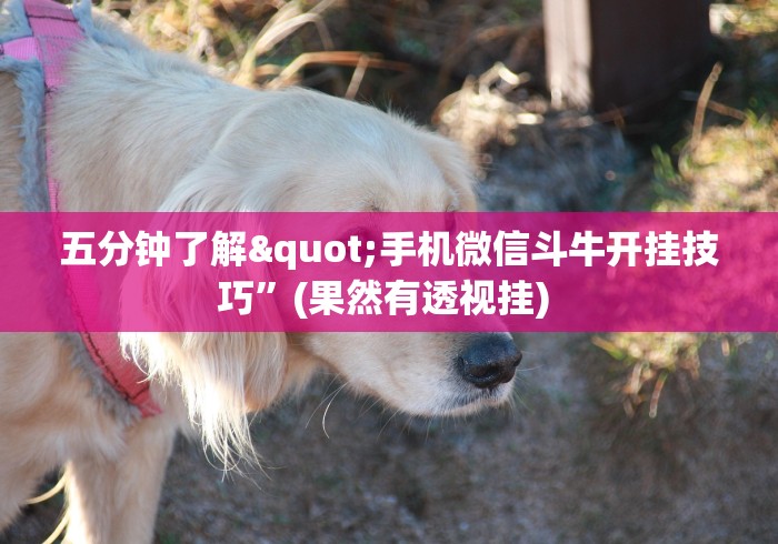 五分钟了解"手机微信斗牛开挂技巧”(果然有透视挂) 