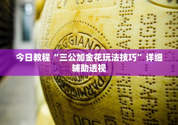 今日教程“三公加金花玩法技巧”详细辅助透视