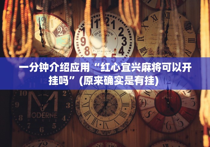 一分钟介绍应用“红心宜兴麻将可以开挂吗”(原来确实是有挂) 