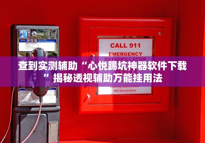 查到实测辅助“心悦踢坑神器软件下载”揭秘透视辅助万能挂用法