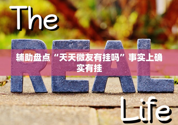 辅助盘点“天天微友有挂吗”事实上确实有挂