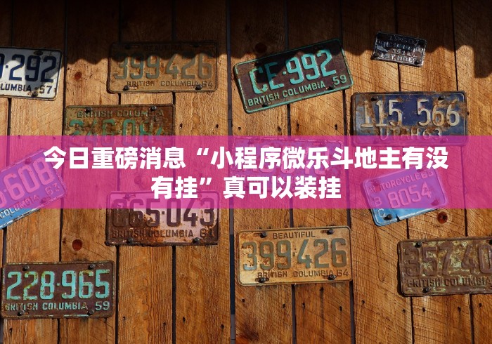 今日重磅消息“小程序微乐斗地主有没有挂”真可以装挂