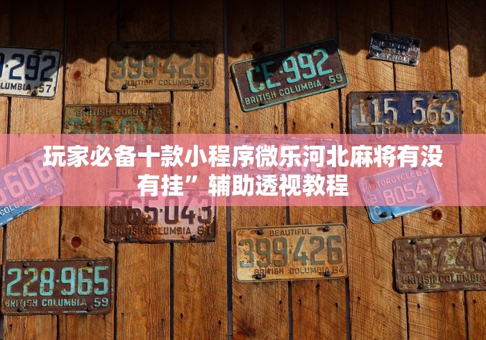 玩家必备十款小程序微乐河北麻将有没有挂	”辅助透视教程