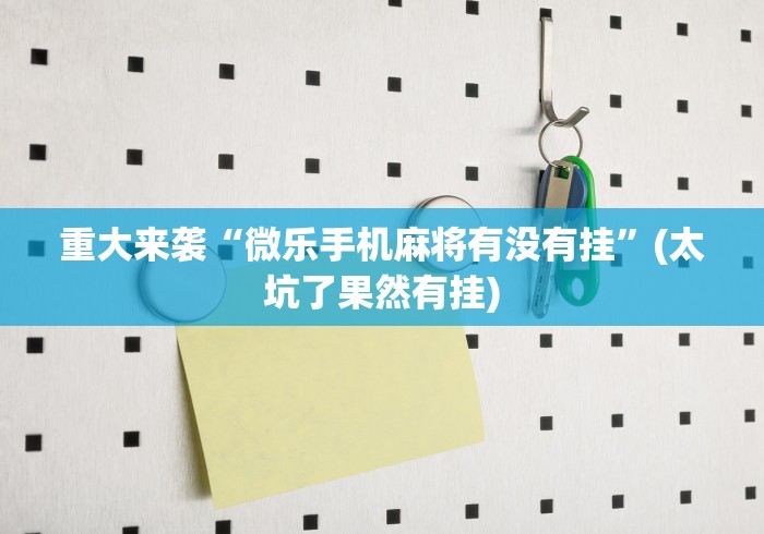 重大来袭“微乐手机麻将有没有挂”(太坑了果然有挂)