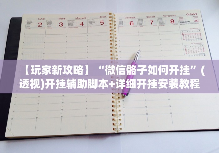 【玩家新攻略】“微信骼子如何开挂”(透视)开挂辅助脚本+详细开挂安装教程