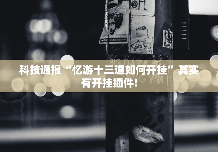 科技通报“忆游十三道如何开挂	”其实有开挂插件!