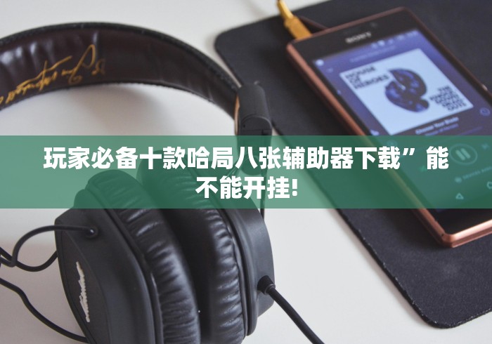 使用分享“网上十三水输了好几万怎么回事”附透视挂详细教程