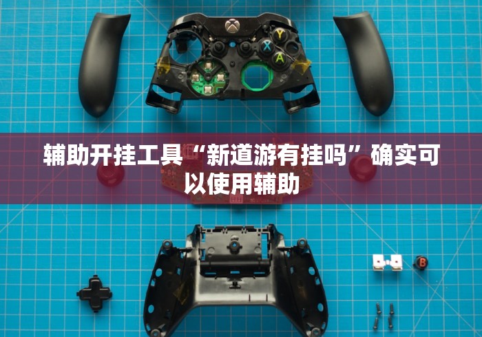 辅助开挂工具“新道游有挂吗”确实可以使用辅助