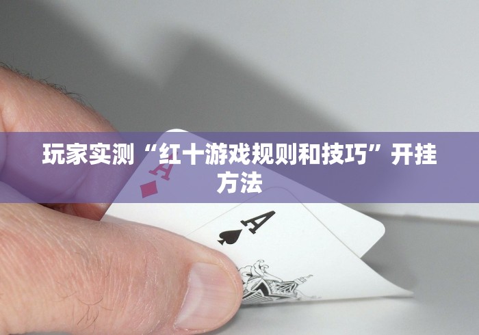 玩家实测“红十游戏规则和技巧”开挂方法