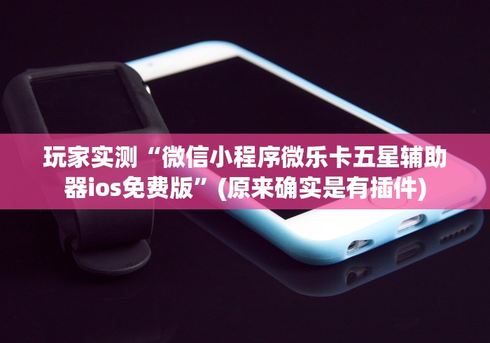 玩家实测“微信小程序微乐卡五星辅助器ios免费版	”(原来确实是有插件)