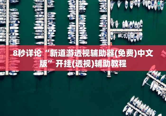8秒详论“新道游透视辅助器(免费)中文版”开挂(透视)辅助教程