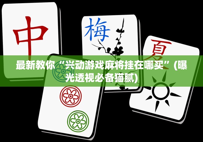 最新教你“兴动游戏麻将挂在哪买	”(曝光透视必备猫腻)
