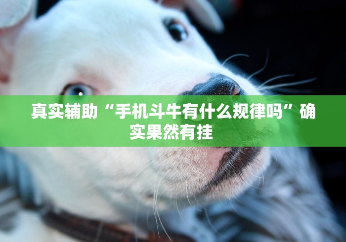 真实辅助“手机斗牛有什么规律吗”确实果然有挂 