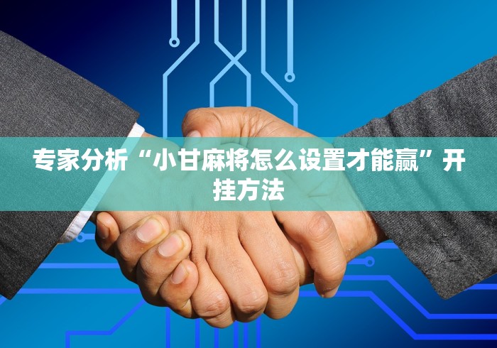 专家分析“小甘麻将怎么设置才能赢”开挂方法