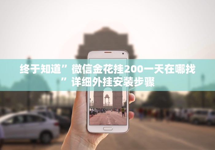 终于知道”微信金花挂200一天在哪找	”详细外挂安装步骤
