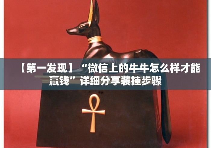 【第一发现】“微信上的牛牛怎么样才能赢钱”详细分享装挂步骤