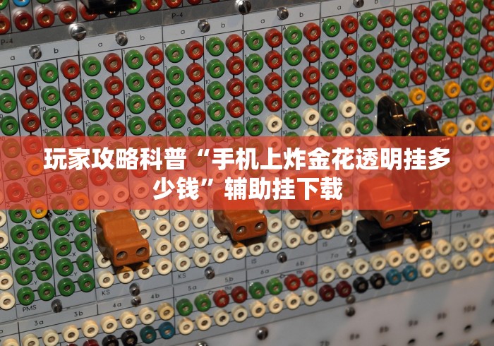 盘点"拱趴大菠萝有什么挂吗,是不是真的”(详细透视教程)-