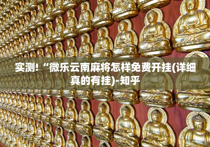 实测!“微乐云南麻将怎样免费开挂(详细真的有挂)-知乎 实测!“微乐云南麻将怎样免费开挂(详细真的有挂)-知乎