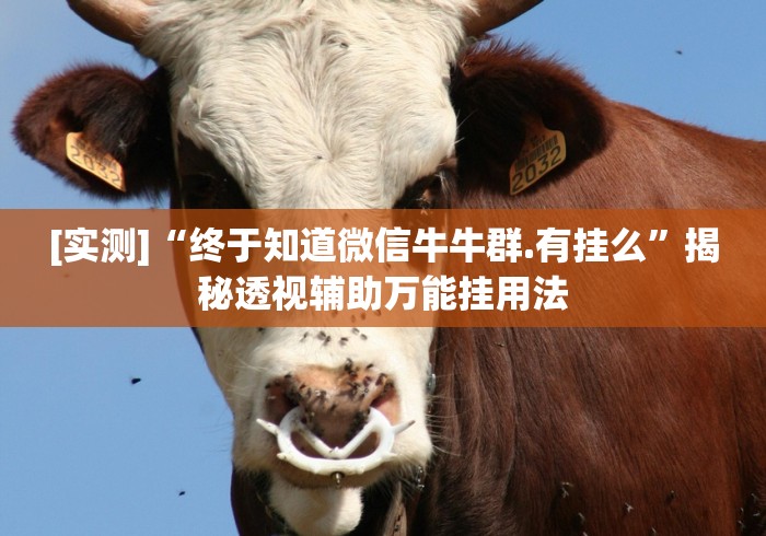 可用版本“微乐甘肃麻将可以开挂吗”详细辅助软件教程