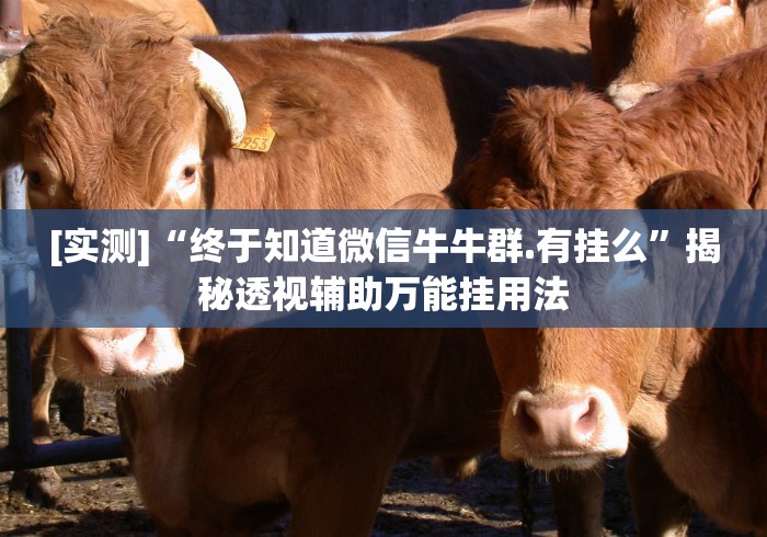 [实测]“终于知道微信牛牛群.有挂么”揭秘透视辅助万能挂用法