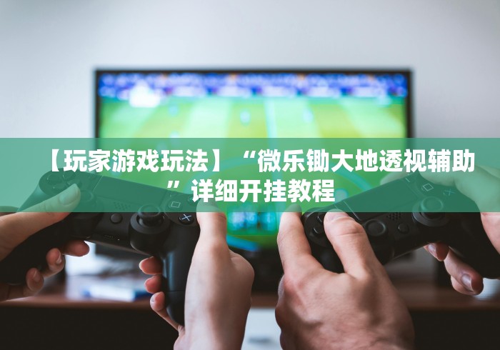 【玩家游戏玩法】“微乐锄大地透视辅助”详细开挂教程