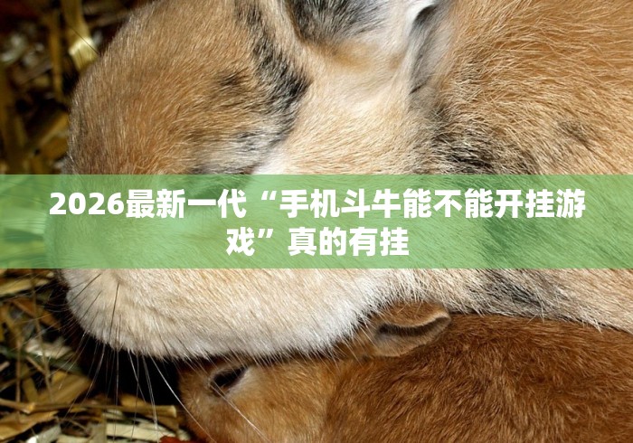 给大家讲解“微乐刨幺辅助	”掌握辅助功能必胜规则