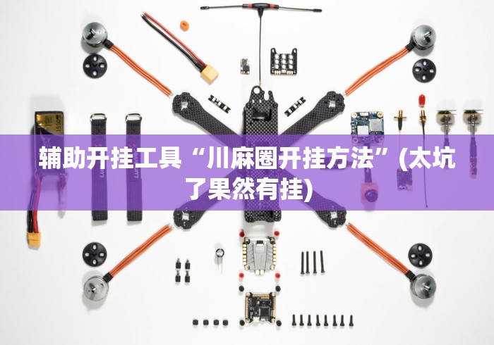 辅助开挂工具“川麻圈开挂方法	”(太坑了果然有挂)