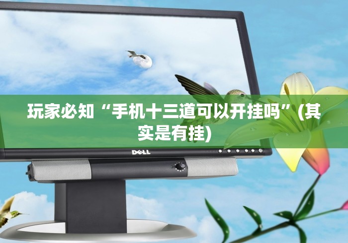 玩家必知“手机十三道可以开挂吗”(其实是有挂)