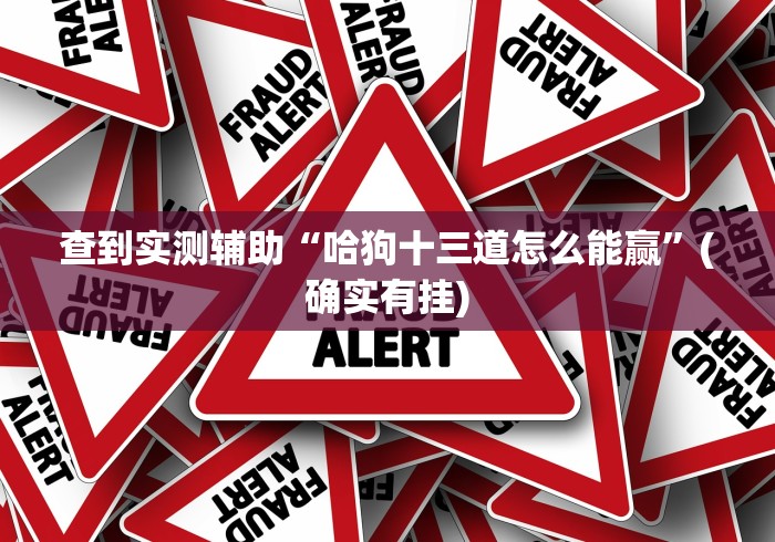 查到实测辅助“哈狗十三道怎么能赢”(确实有挂)