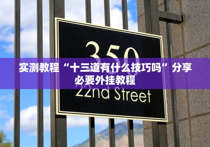实测教程“十三道有什么技巧吗”分享必要外挂教程