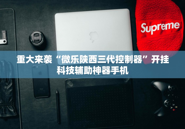 重大来袭“微乐陕西三代控制器	”开挂科技辅助神器手机