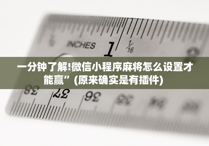 一分钟了解!微信小程序麻将怎么设置才能赢”(原来确实是有插件) 