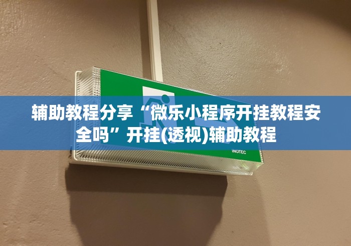 辅助教程分享“微乐小程序开挂教程安全吗”开挂(透视)辅助教程