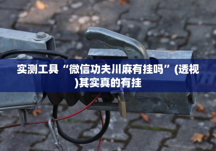 使用分享!新玄龙可以开挂吗”(原来确实是有插件)