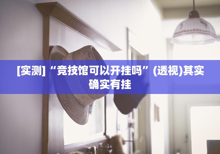 [实测]“竞技馆可以开挂吗	”(透视)其实确实有挂