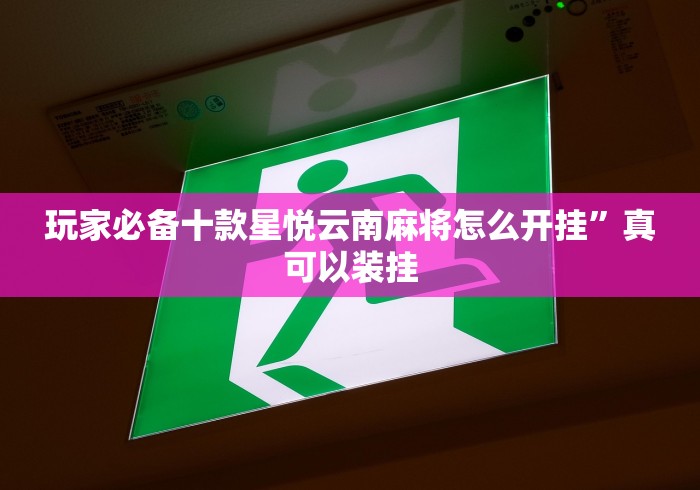 玩家必备十款星悦云南麻将怎么开挂”真可以装挂