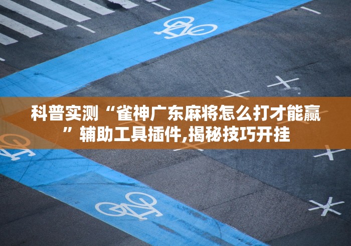 科普实测“雀神广东麻将怎么打才能赢”辅助工具插件,揭秘技巧开挂