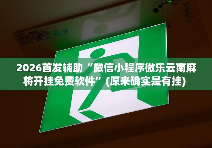 2026首发辅助“微信小程序微乐云南麻将开挂免费软件”(原来确实是有挂) 