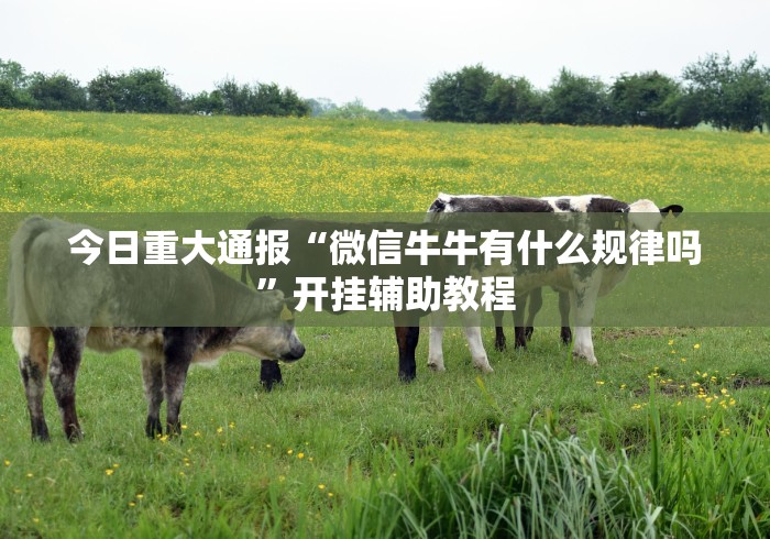 今日重大通报“微信牛牛有什么规律吗”开挂辅助教程