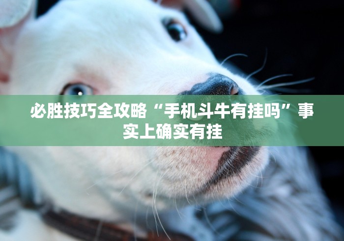 必胜技巧全攻略“手机斗牛有挂吗”事实上确实有挂