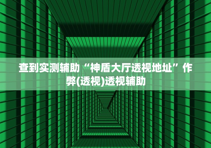 查到实测辅助“神盾大厅透视地址	”作弊(透视)透视辅助