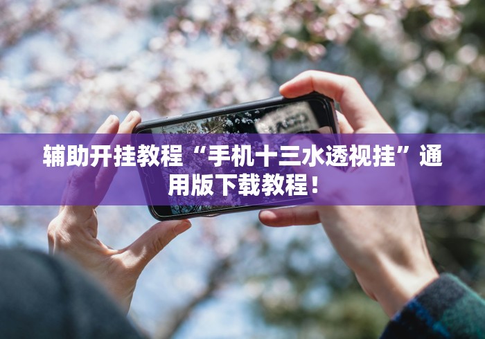 辅助开挂教程“手机十三水透视挂”通用版下载教程！