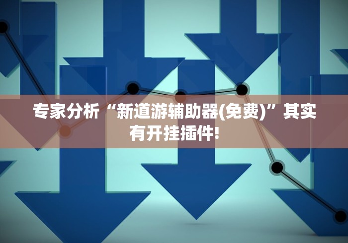 2026玩家推荐:佛手十三道辅助挂安全吗”确实可以使用辅助