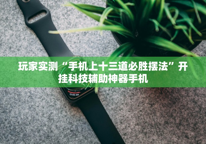 玩家实测“手机上十三道必胜摆法”开挂科技辅助神器手机