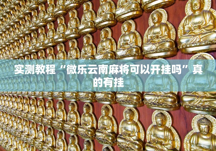 实测教程“微乐云南麻将可以开挂吗	”真的有挂