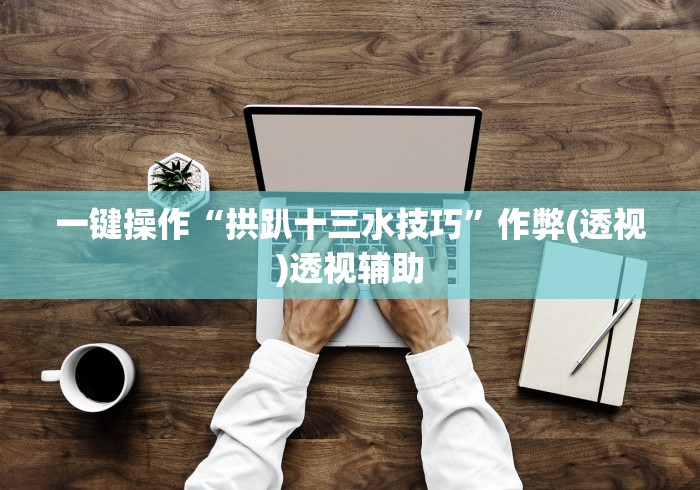 一键操作“拱趴十三水技巧”作弊(透视)透视辅助