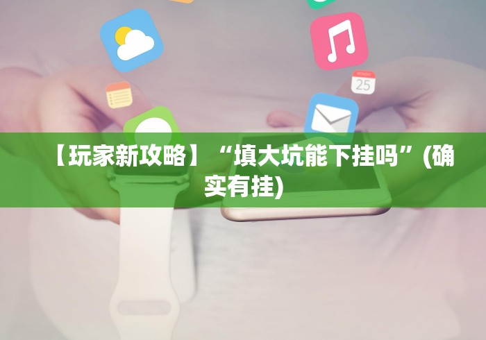 【玩家新攻略】“填大坑能下挂吗”(确实有挂)